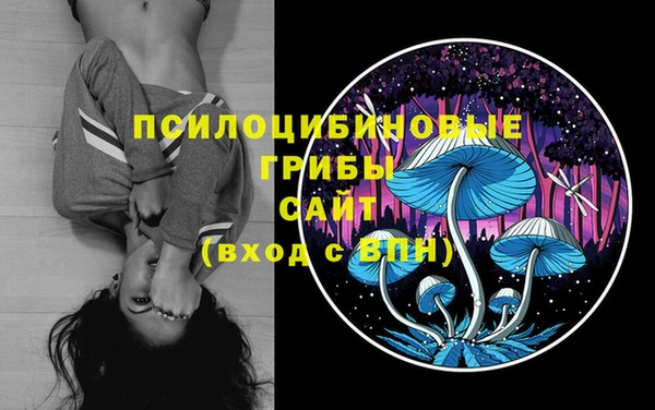 ALPHA PVP Алексин