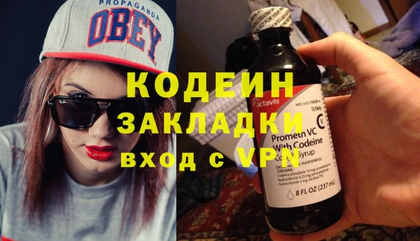 прущие грибы Рославль
