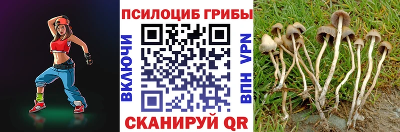 MEGA маркетплейс  Калач-на-Дону  Галлюциногенные грибы Cubensis  купить наркотик 